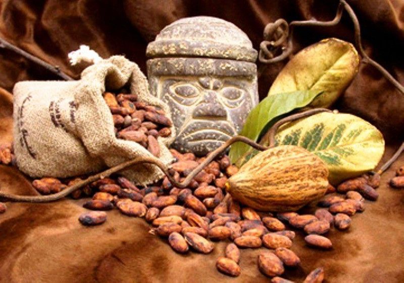 Origine du chocolat