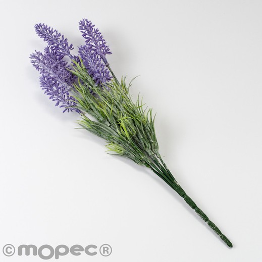 Ramillete de lavanda con 7 flores