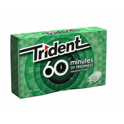 Trident Minutes Peppermint IG