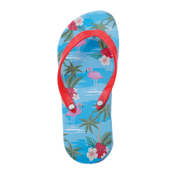 Caja Bombones Lata Chancleta Flip Flop (150gramos) de Chocoday