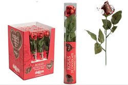 Rosas de Chocolate (16 unidades de 20 gramos) de Dekora