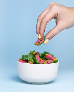 Tranches de pastèque Vidal