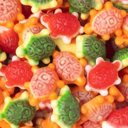 Tartarughe Ripiene Brillo di Vidal